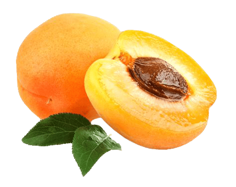 Apricot