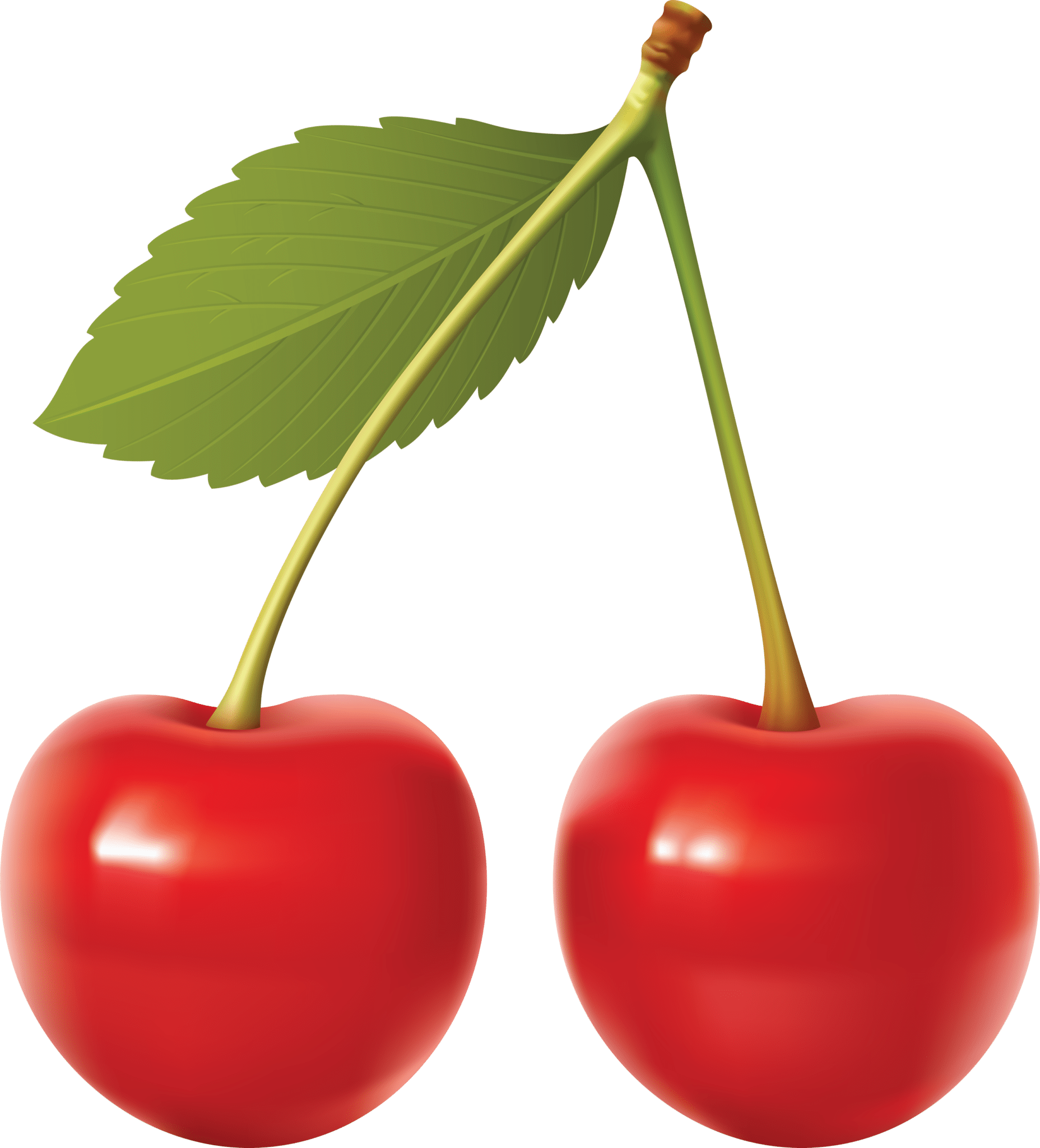 Cherry