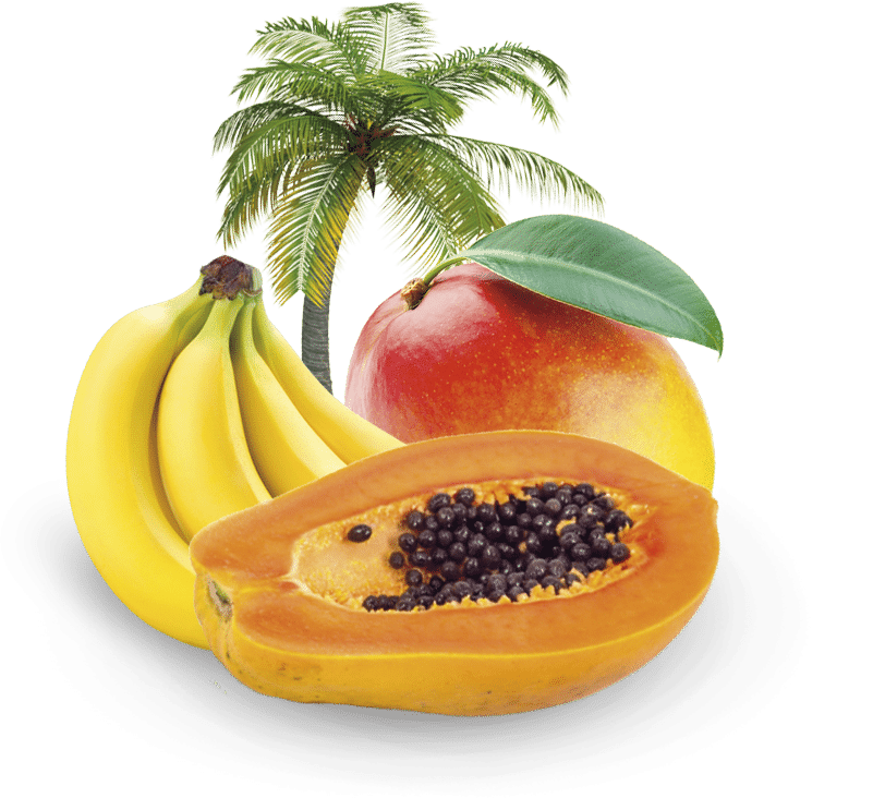 Tropical Fruits