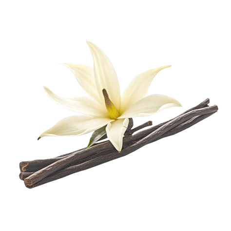 Vanilla